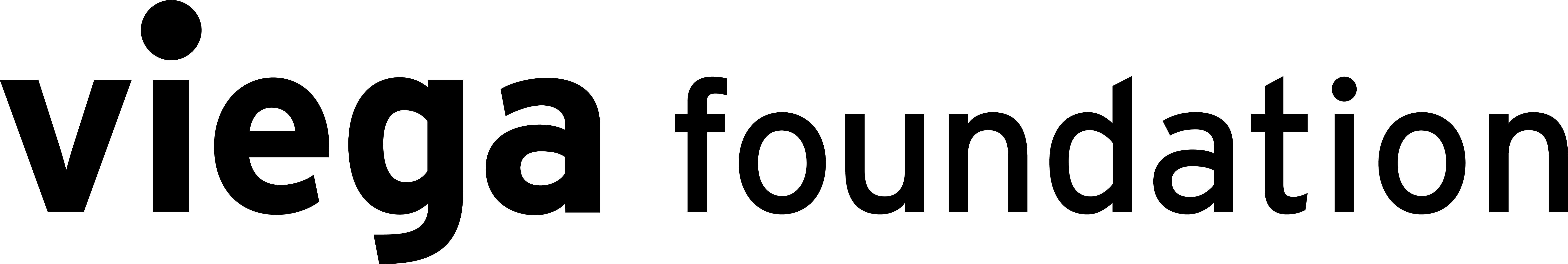 Viega Foundation