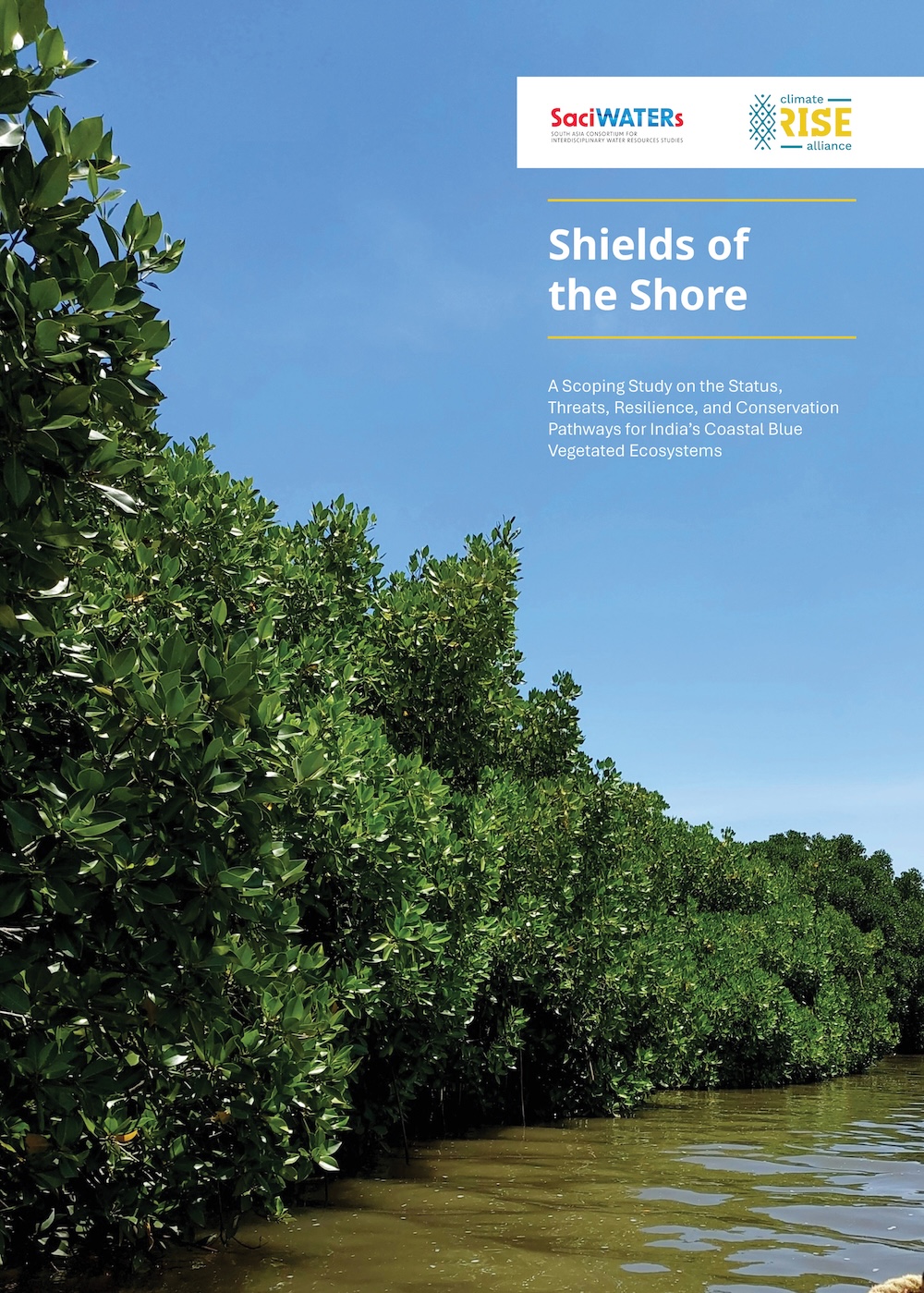 Shields of the Shore - A Scoping Study on the Status, Threats, Resilience, and Conservation Pathways for India’s Coastal Blue Vegetated Ecosystems